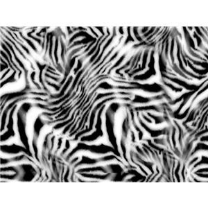 Digitalttryckt Zebra Mönster