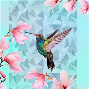 Panel kolibri