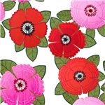 Zinnia röd rosa blommor vit