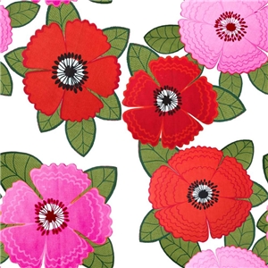 Zinnia röd rosa blommor vit