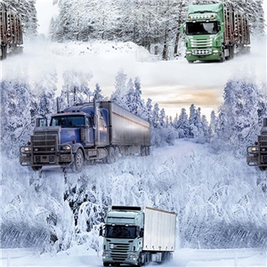 Lahti Truck
