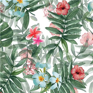 Hawaii vit