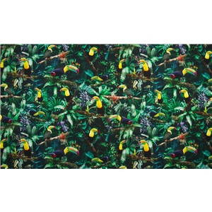 Toucan