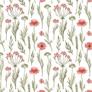 Hundkex blomma
