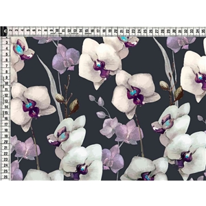 Orchide 2