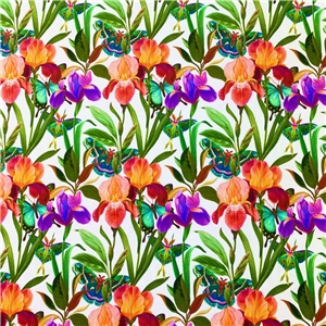 Färgglada blommor och fjärilar på vitt