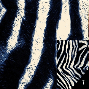Black and blue stripes