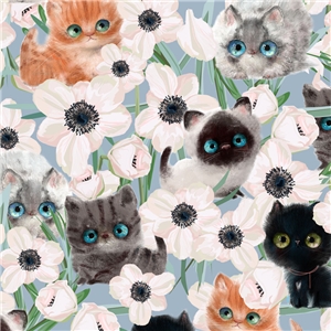 Lille katt blå