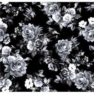 Roses on Black 2