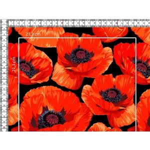 Vallmo Blommor Orange
