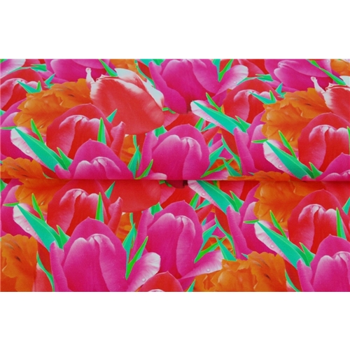 Coulorful Tulips