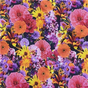 Summer flowers