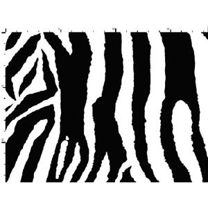 Zebra Jogging
