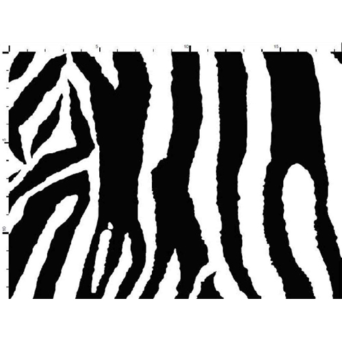 Zebra Jogging