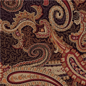 Paisley Rost