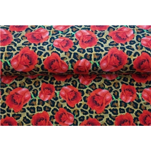 Roses - Leopard Spots
