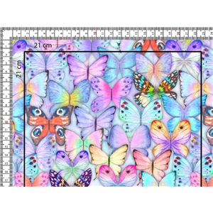 Coulourful Butterflies