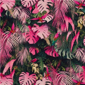 Monstera Lila