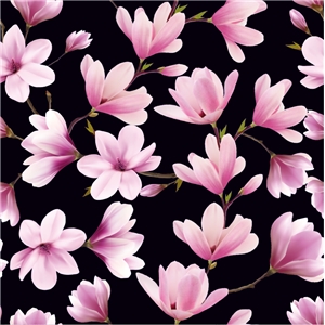 Magnoliaknopp Svart