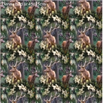 Oh Deer