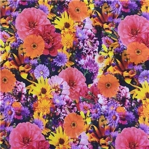 Summer flowers