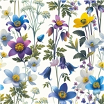 Sommarblom