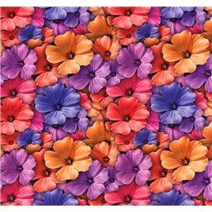 Inbjudande Blommor