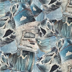 Denim Prints