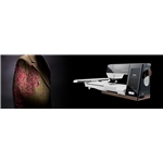 Creative Expression 750