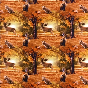 Friends in the forest