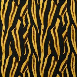 Animal Gul - Gold Jogging