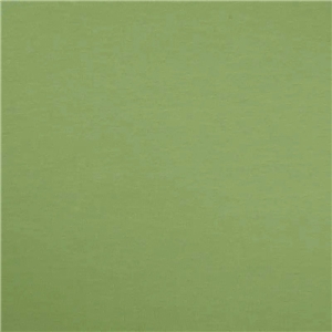 Enfärgad Trikå Dusty Mint