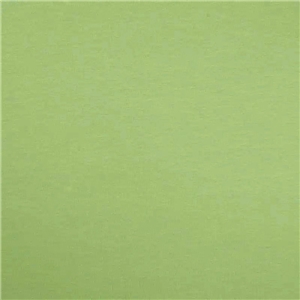 Enfärgad Trikå Dusty Mint