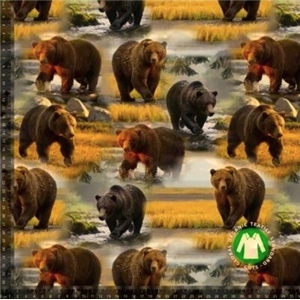 Björnar i Vildmarken