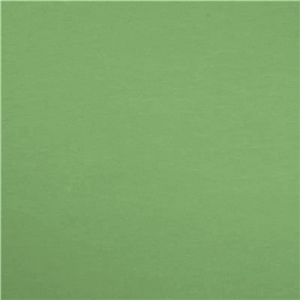 Enfärgad Trikå Dusty Mint