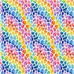 Leopard Multicolor